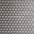 Stainless Steel Perforated Metal Mesh